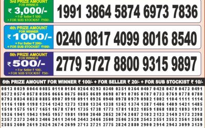 Punjab dear 50 monthly lottery result 6.p.m 17.06. 2025