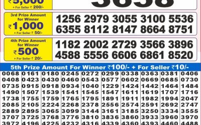Dear 10 Tuesday weekly lottery 17.06.25 7pm result