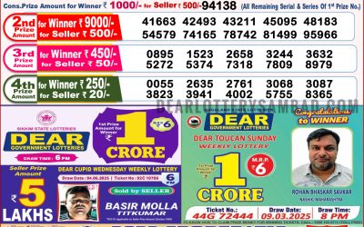 Dear goose Tuesday weekly lottery 17.06.25 8pm result