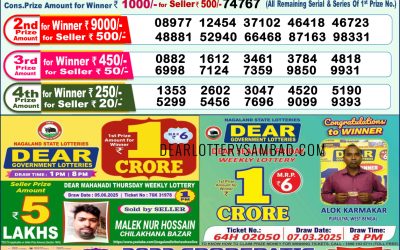 Dear indus wednesday weekly lottery 18.06.25 1pm result