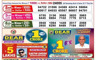 Dear seagull Friday weekly lottery 20.06.25 8pm result