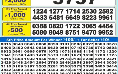 Dear 10 yellow saturday weekly lottery 21.06.25 1.30pm result