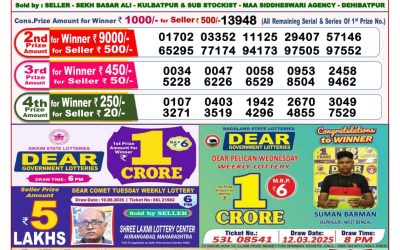 Dear stork saturday weekly lottery 21.06.25 8pm result