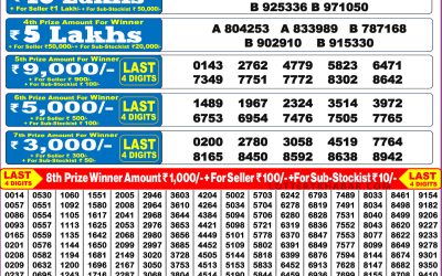 Punjab State Summer Special Bumper Lottery Result 21.06.25
