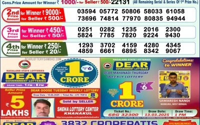 Dear yamuna sunday weekly lottery 22.06.25 1pm result