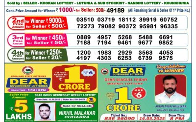 Dear vixen sunday weekly lottery 22.06.25 6pm result