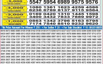 Dear 100 Beas Tuesday weekly lottery 24.06.25 5pm result