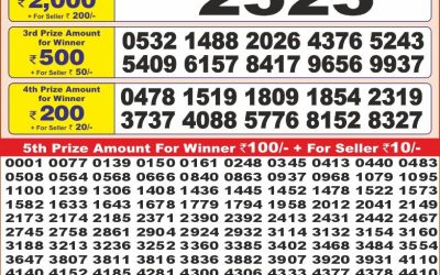 Punjab state dear 10 lottery 24.06.25 6pm result