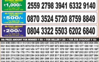 Punjab dear 20 monthly lottery result 24.06.2025 6pm today