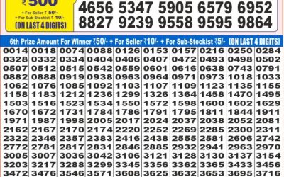 Dear super diamond Tuesday weekly lottery 24.06.25 7pm result
