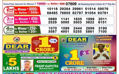 Dear goose Tuesday weekly lottery 24.06.25 8pm result