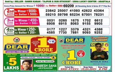 Dear pelican wednesday weekly lottery 25.06.25 8pm result