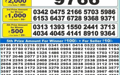 Dear 10 pink Thursday weekly lottery 26.06.25 1.30pm result