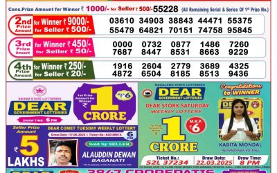 Dear seagull Friday weekly lottery 27.06.25 8pm result