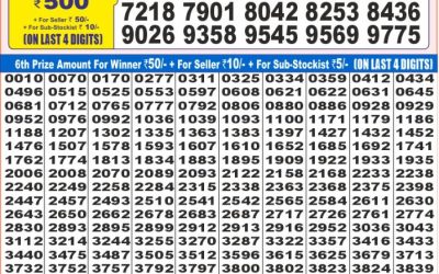Dear super iron Saturday weekly lottery 28.06.25 7pm result