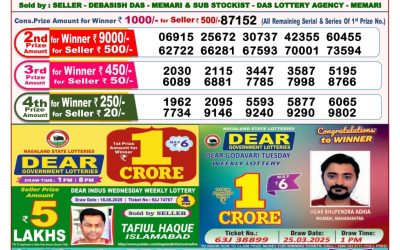 Dear stork saturday weekly lottery 28.06.25 8pm result