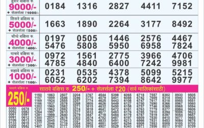Dear 100 Beas Tuesday weekly lottery 03.06.25 5pm result