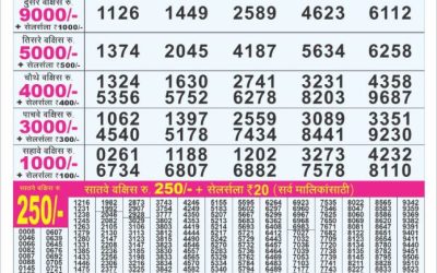 Dear 100 Beas Tuesday weekly lottery 10.06.25 5pm result