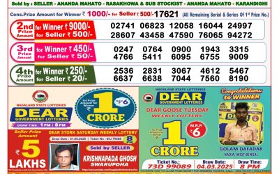 Dear seagull Friday weekly lottery 13.06.25 8pm result