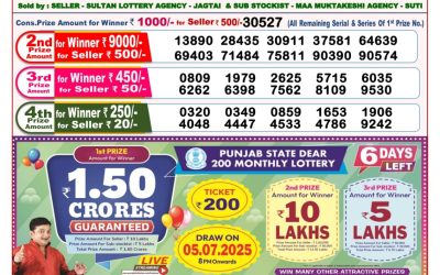 Dear toucan sunday weekly lottery 29.06.25 8pm result