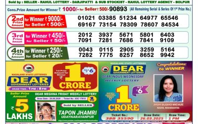 Dear godavari Tuesday weekly lottery 01.07.25 1pm result
