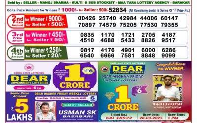 Dear goose Tuesday weekly lottery 01.07.25 8pm result