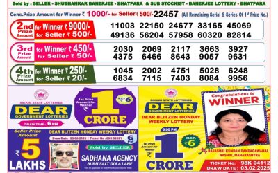 Dear seagull Friday weekly lottery 04.07.25 8pm result
