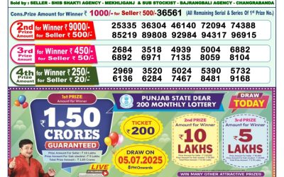 Dear narmada saturday weekly lottery 05.07.25 1pm result