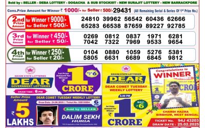 Dear stork saturday weekly lottery 05.07.25 8pm result