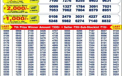 Punjab State 200 Monthly Lottery Result 8PM 5.7.25