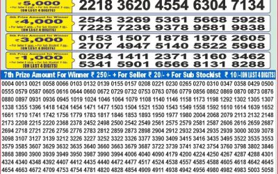 Dear 100 Beas Tuesday weekly lottery 08.07.25 5pm result
