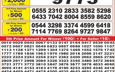 Punjab state dear 10 lottery 08.07.25 6pm result