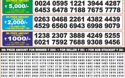 Punjab state dear 100 monthly lottery result 08.07 25 today 6pm