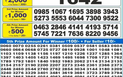 Dear 10 red Friday weekly lottery 11.07.25 1.30pm result