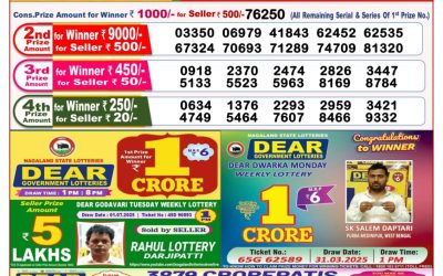 Dear seagull Friday weekly lottery 11.07.25 8pm result
