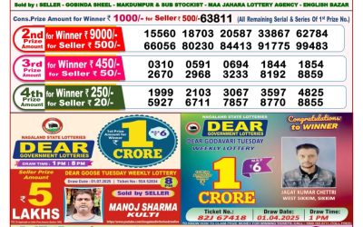 Dear stork saturday weekly lottery 12.07.25 8pm result