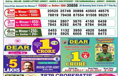 Dear yamuna sunday weekly lottery 13.07.25 1pm result