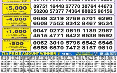 Dear 50 ravi sunday weekly lottery 13.07.25 5pm result