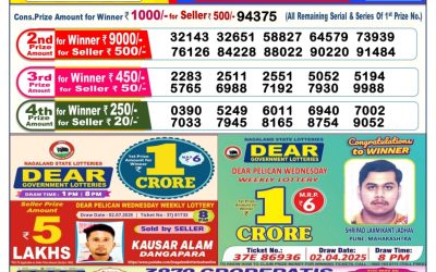 Dear vixen sunday weekly lottery 13.07.25 6pm result