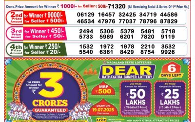 Dear toucan sunday weekly lottery 13.07.25 8pm result