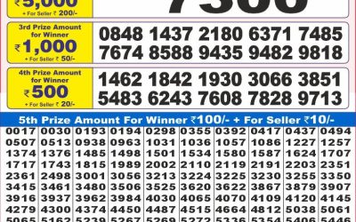 Dear 10 Maple monday weekly lottery 14.07.25 7pm result