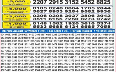 Dear 100 Beas Tuesday weekly lottery 15.07.25 5pm result
