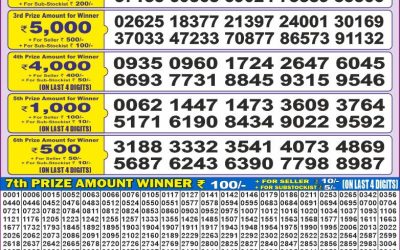 Dear 50 Chenab Wednesday Weekly lottery 16.07.25 5pm result