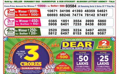 Dear sandpiper Thursday weekly lottery 17.07.25 8pm result