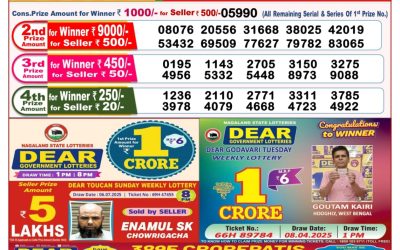 Dear seagull Friday weekly lottery 18.07.25 8pm result
