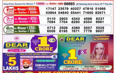 Dear stork saturday weekly lottery 19.07.25 8pm result