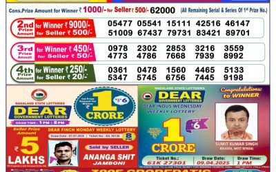 Dear vixen sunday weekly lottery 20.07.25 6pm result