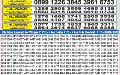 Dear 100 Beas Tuesday weekly lottery 22.07.25 5pm result