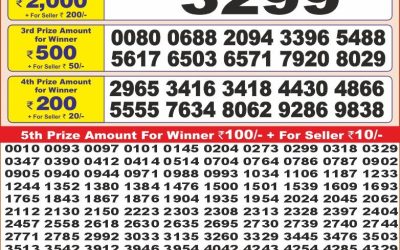 Punjab state dear 10 lottery 22.07.25 6pm result
