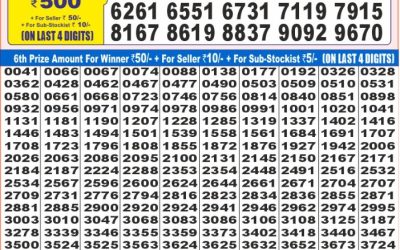 Dear super diamond Tuesday weekly lottery 22.07.25 7pm result